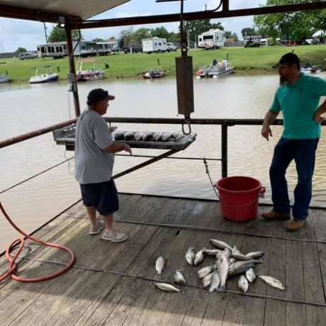 Fishing on the calm waters of Lake Tawakoni, illustrating the outdoor adventure right outside your door at 429 Resort & Marina in Quinlan, TX.